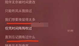 分手爆料视频大全最新版,揭秘情感裂痕背后的真相